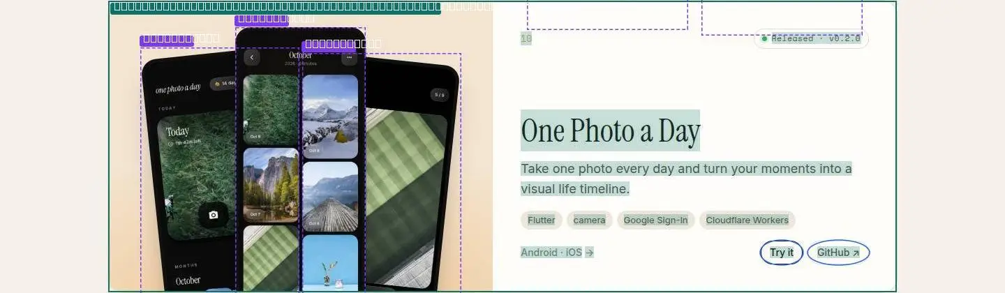 article, its anatomy
