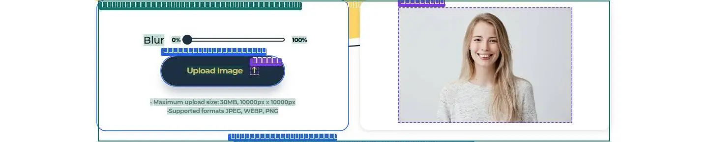 div, its anatomy