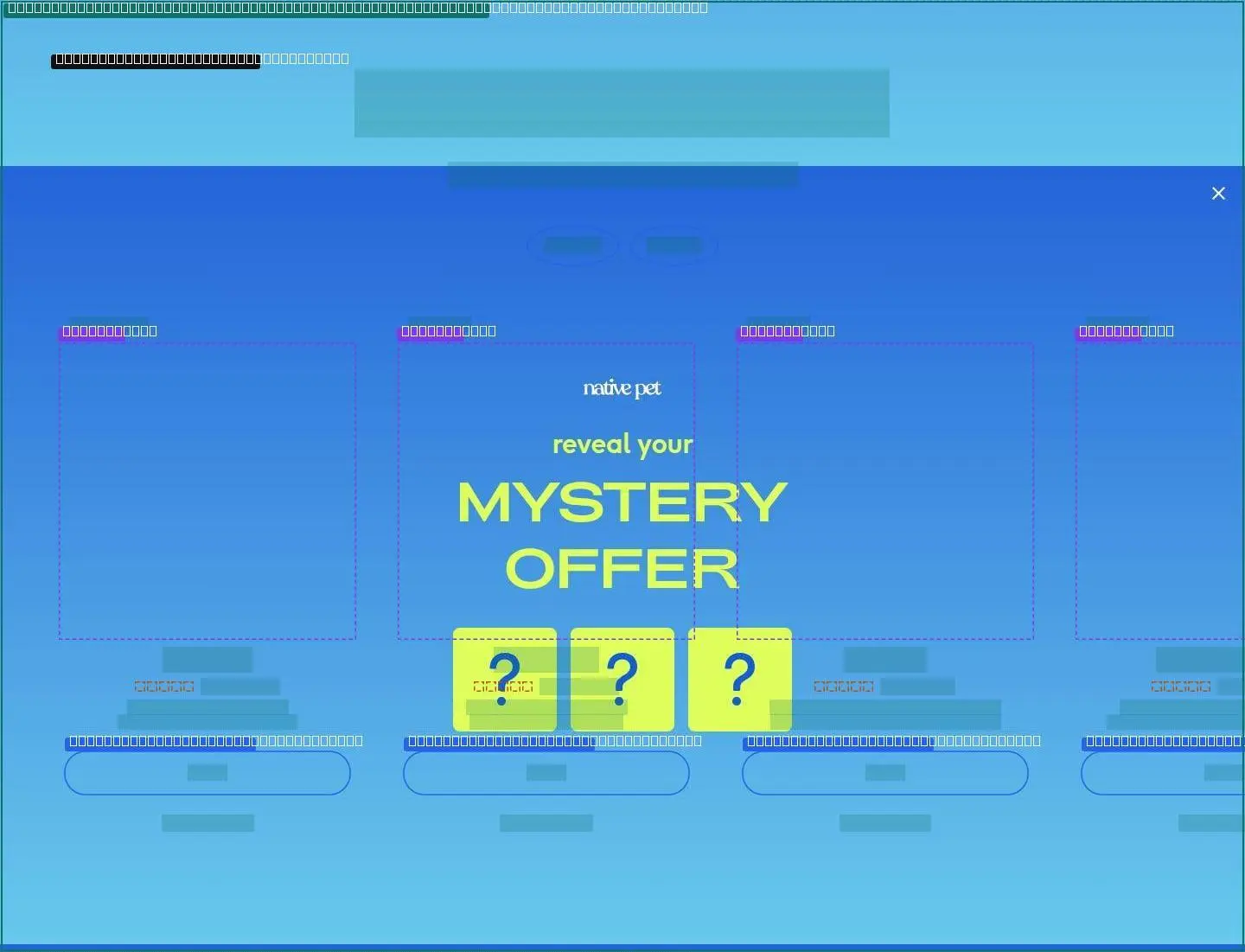 shopify section temp, its anatomy