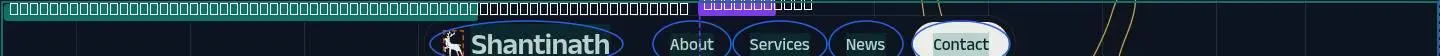 nav, its anatomy