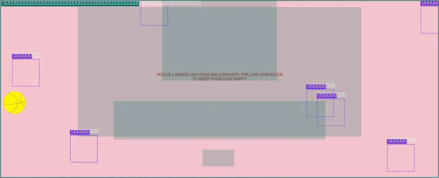 section, its anatomy