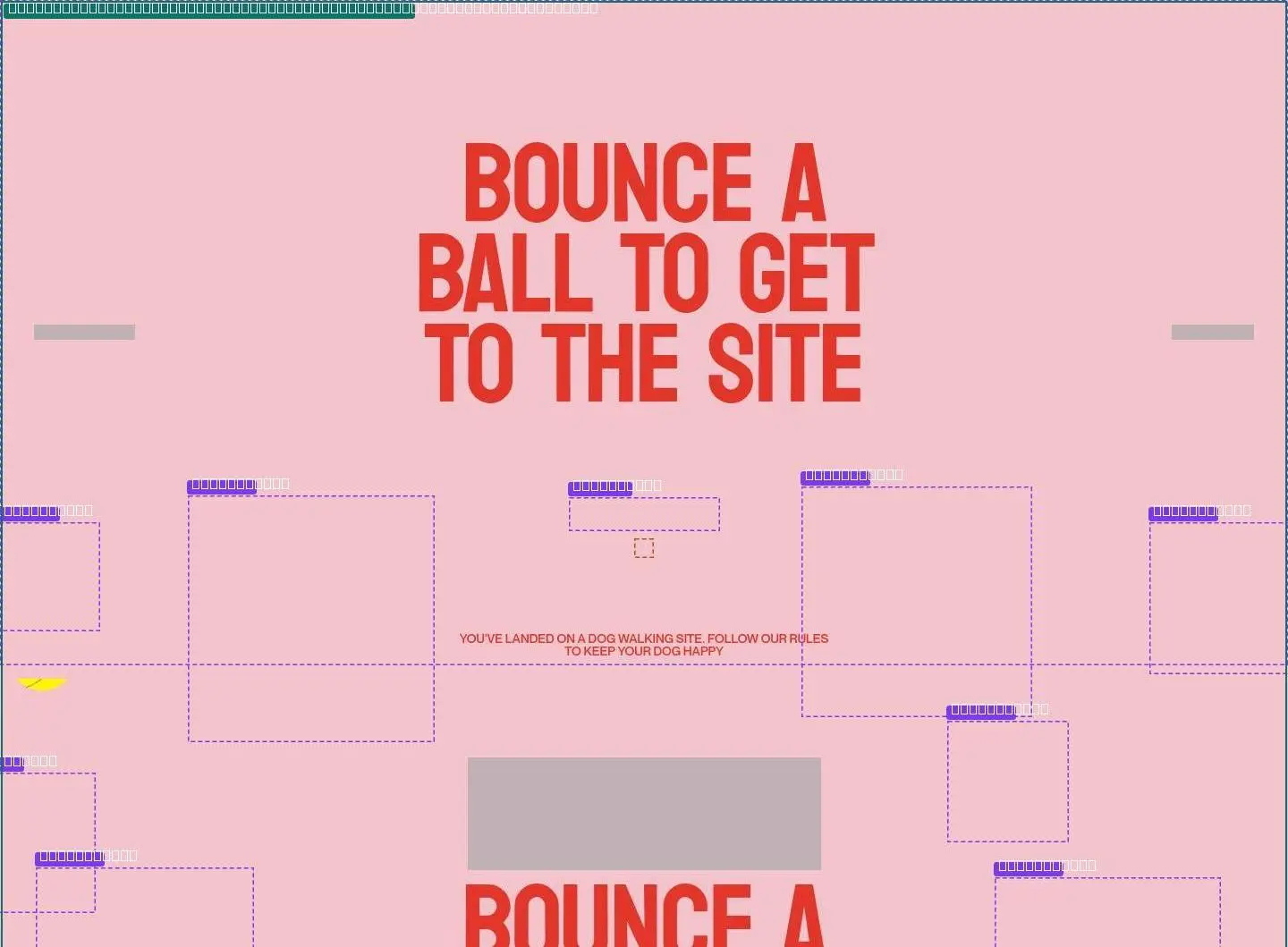 section, its anatomy