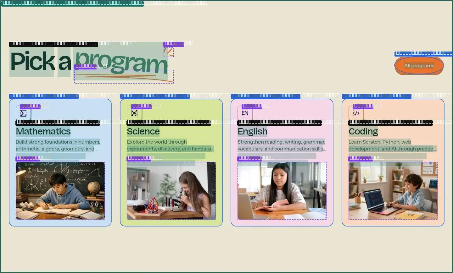program, its anatomy
