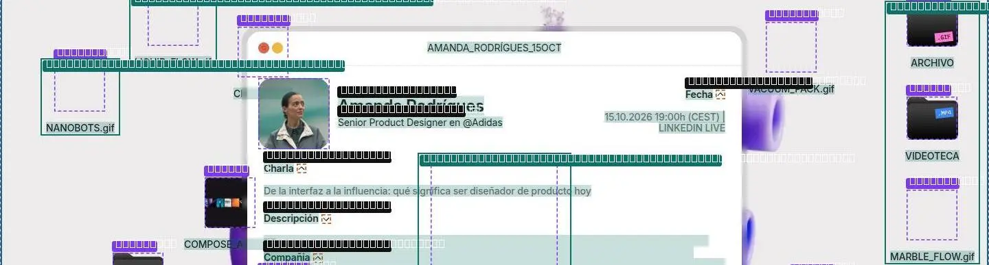 div, its anatomy