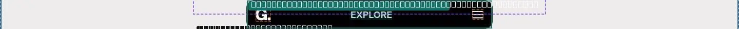nav, its anatomy